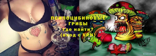 PSILOCYBIN Абаза
