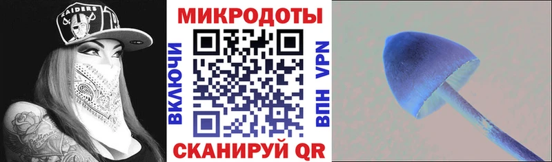 Галлюциногенные грибы Cubensis  ОМГ ОМГ ТОР  Калачинск 
