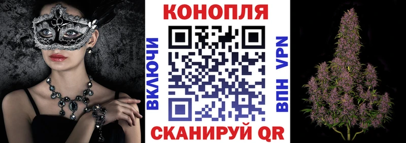 где можно купить   Калачинск  Конопля MAZAR 